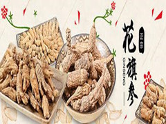 中国雷火电竞官网首页登录品牌