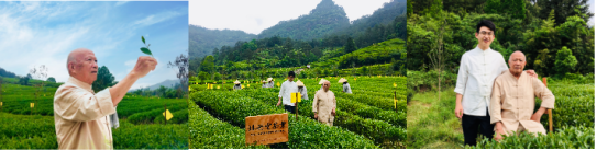 雷火电竞官网首页登录品牌