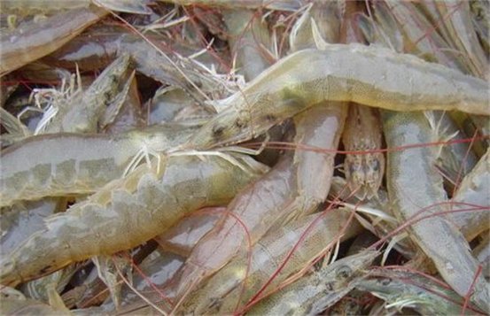 雷火电竞官网首页登录品牌