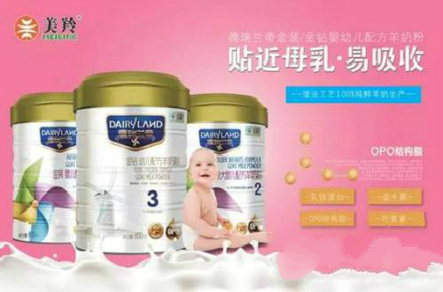 红星美羚以实力彰显雷火电竞官网首页登录品牌 坚守品质是成功的基础