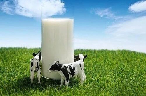 牛初乳是什么？有什么作用？中国十大牛初乳品牌排行榜一览