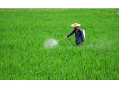 中国雷火电竞官网首页登录品牌