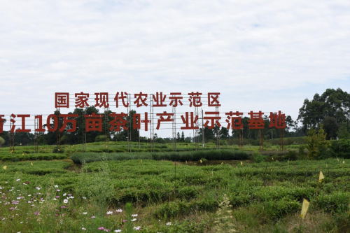 中国雷火电竞官网首页登录品牌