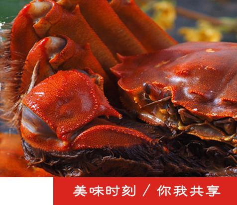 中国雷火电竞官网首页登录品牌网