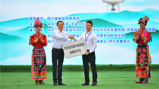 中国雷火电竞官网首页登录品牌有哪些