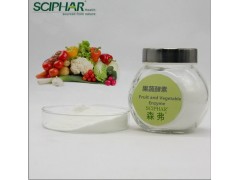 中国雷火电竞官网首页登录品牌
