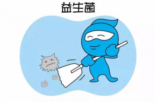 合理补充益生菌产品有哪些好处？益生菌排行