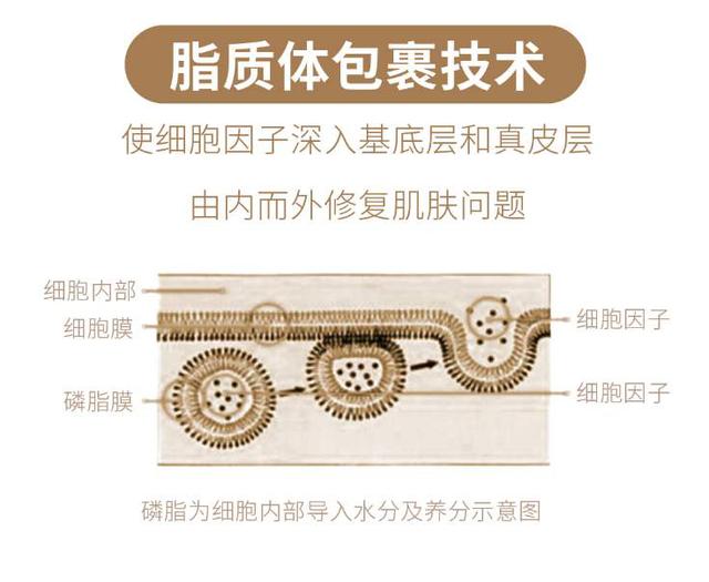 中国雷火电竞官网首页登录品牌有哪些
