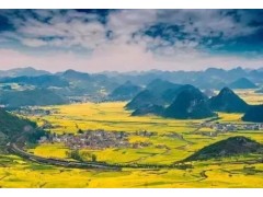 中国雷火电竞官网首页登录品牌