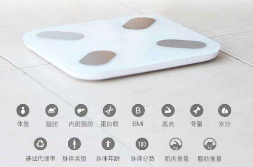 脂肪秤品牌哪个好？体脂称的相关数据与使用原理