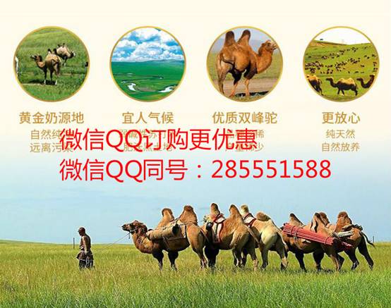 中国雷火电竞官网首页登录品牌网
