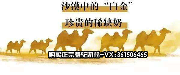 中国雷火电竞官网首页登录品牌