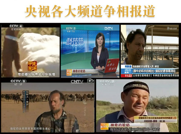 中国雷火电竞官网首页登录品牌网