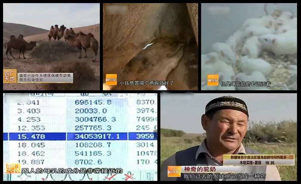 中国雷火电竞官网首页登录品牌