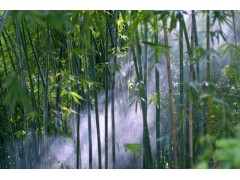 中国雷火电竞官网首页登录品牌