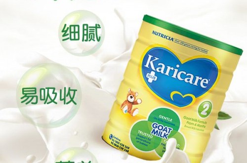 羊奶粉十大品牌排行榜 哪个品牌的羊奶粉更值得妈妈信赖？