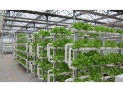中国雷火电竞官网首页登录品牌