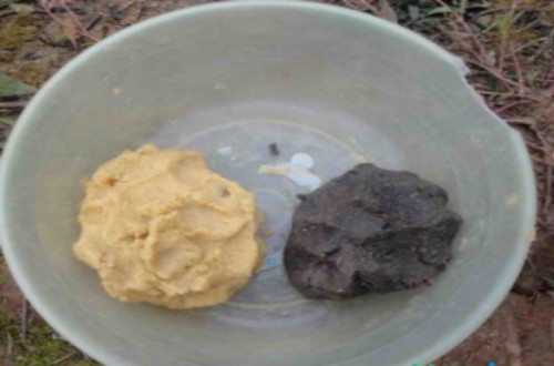 钓鱼诱饵如何制作？冬季选择哪些钓饵比较好？