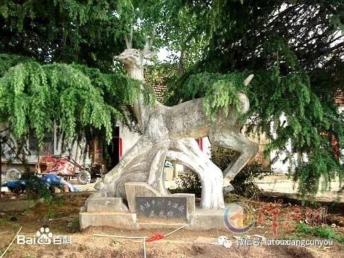 中国安防十大雷火电竞官网首页登录品牌