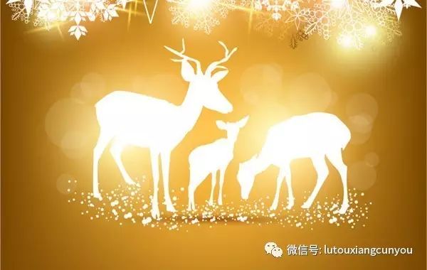 中国雷火电竞官网首页登录品牌