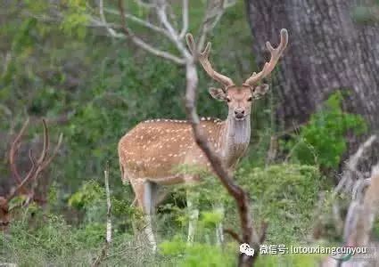 中国雷火电竞官网首页登录品牌有哪些