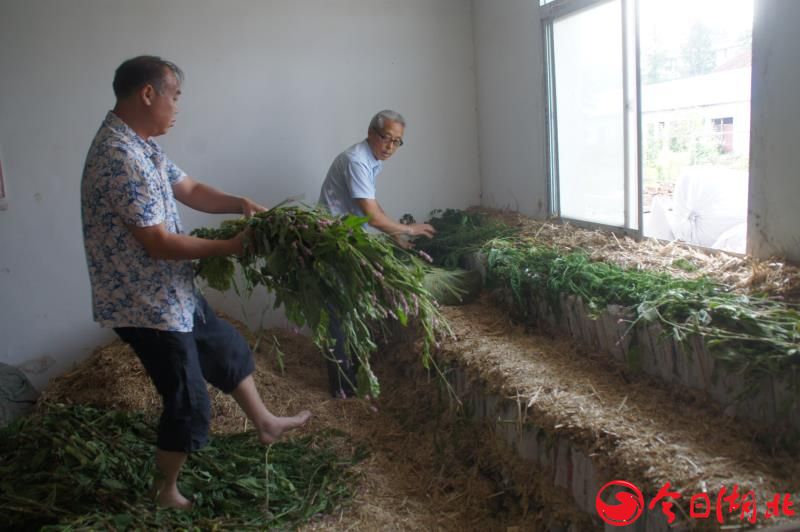中国雷火电竞官网首页登录品牌