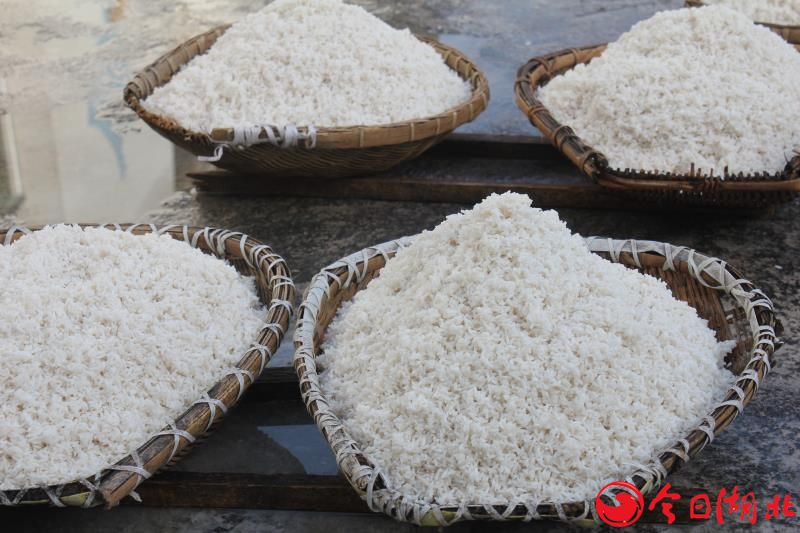 雷火电竞官网首页登录品牌有哪些