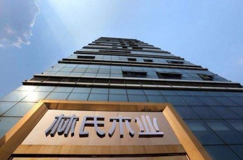 林氏木业家具旗舰店：带来青春 带来属于年轻人的理想