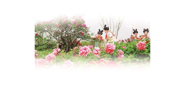 围绕推动文化和旅游融合发展，我市将着力打造一批能立、能呼、能传的知名品牌。