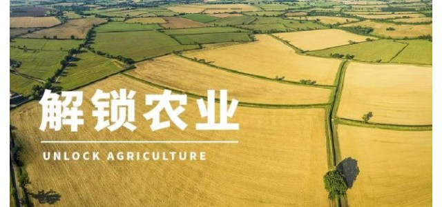 高启杰等：三大电商平台上，优势区域特色品牌占据较大市场份额