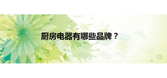 厨房电器有哪些品牌？