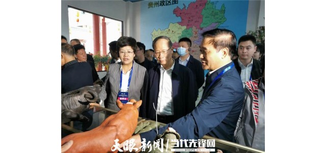 神骏生态文旅小镇：领略秀美山水、文化产品、美食，打造全国品牌联盟